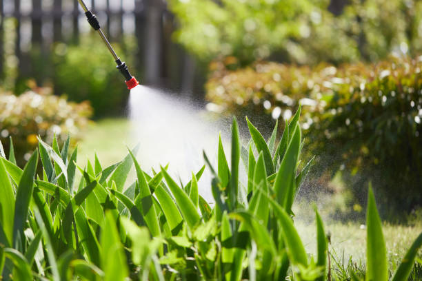 24/7 Emergency Mosquito Control experts in Grenada, MS