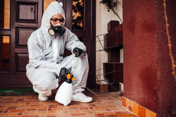 Reliable Mosquito Control contractor in Grenada, MS by Nex Pest Control